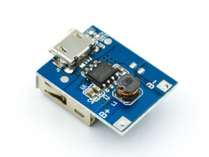 Modulo Cargador Bateria Litio Ion 134n3p Y Step Up 5v